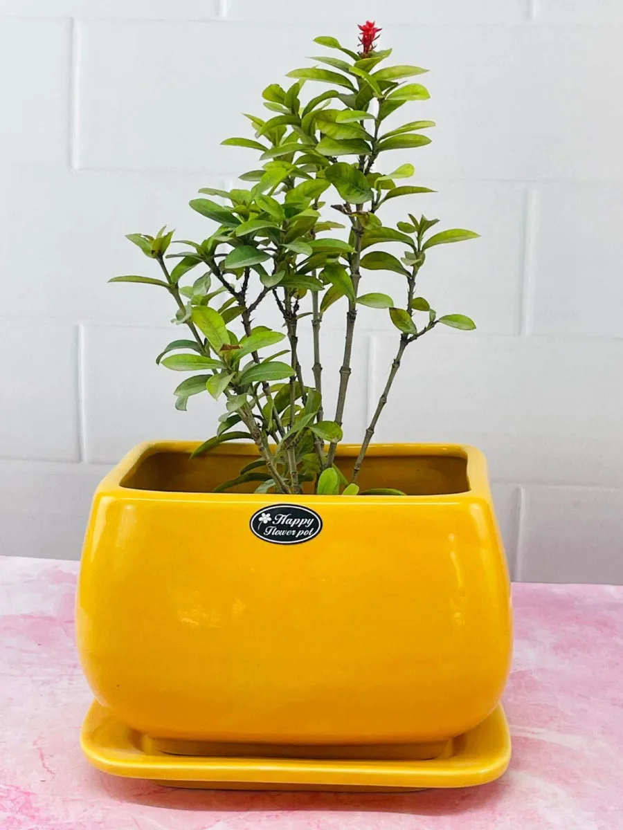 Classic Ceramic Planter — 13.5" Dia × 22.5" Height — Primary View