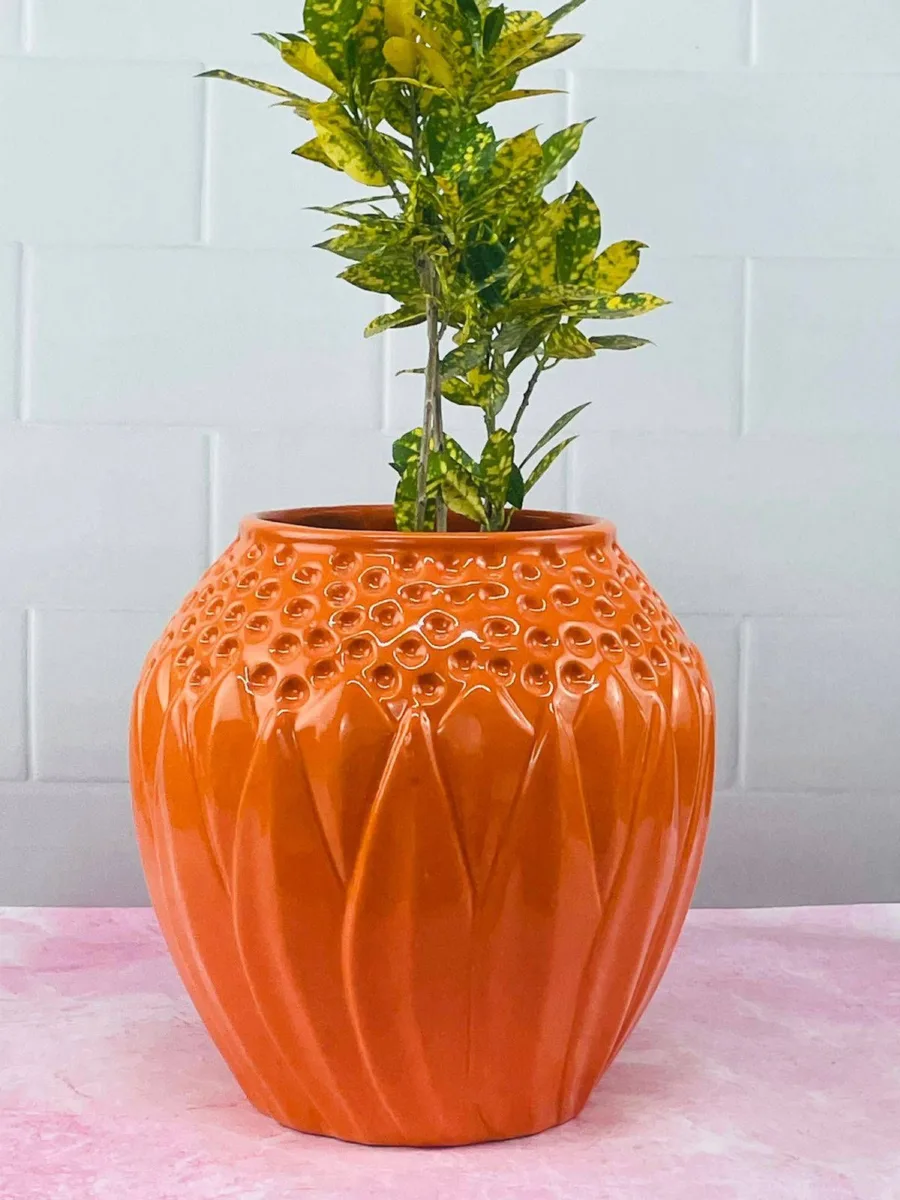 Classic Ceramic Planter — 12" Dia × 6" Height — Primary View