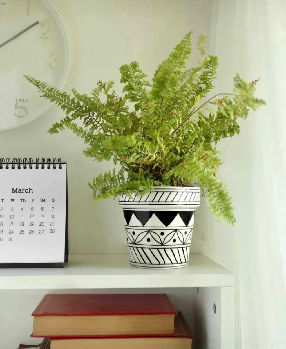 Classic Ceramic Planter — 10" Dia × 10.5" Height — Primary View