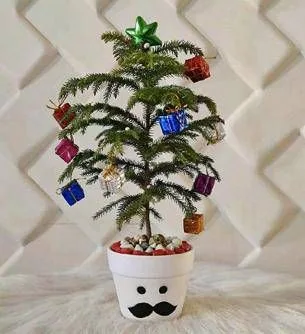 Classic Ceramic Planter — 11" Dia × 3.5" Height — Primary View