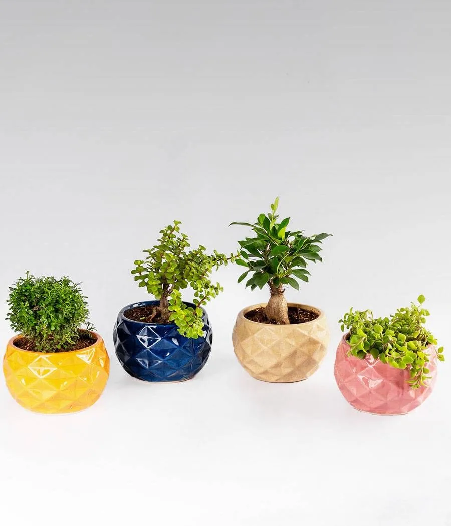 Classic Ceramic Planter — 3" Dia × 3" Height — Primary View