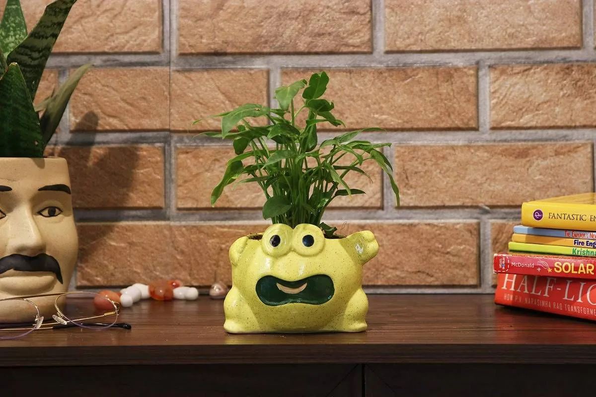 Classic Ceramic Planter — 7" Dia × 4" Height — Primary View