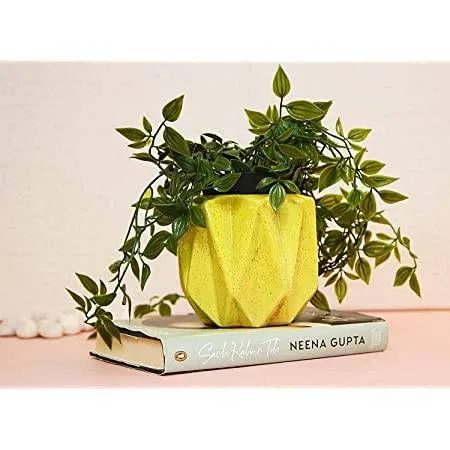 Classic Ceramic Planter — 12" Dia × 3" Height — Primary View