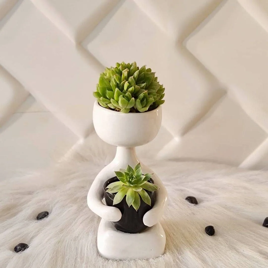 Classic Ceramic Planter — 2" Dia × 2" Height — Primary View