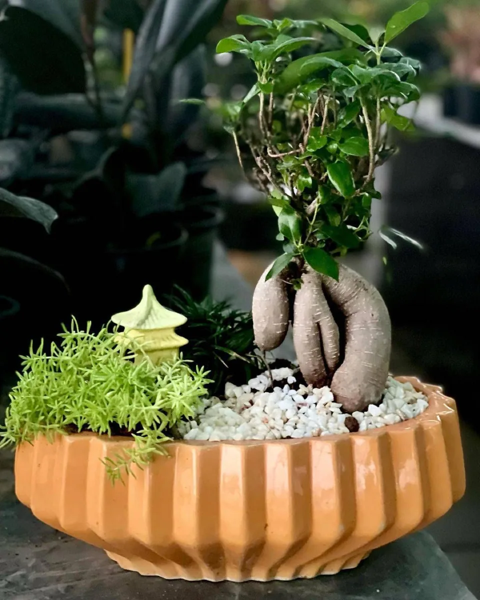 Classic Ceramic Planter — 5" Dia × 4" Height — Primary View