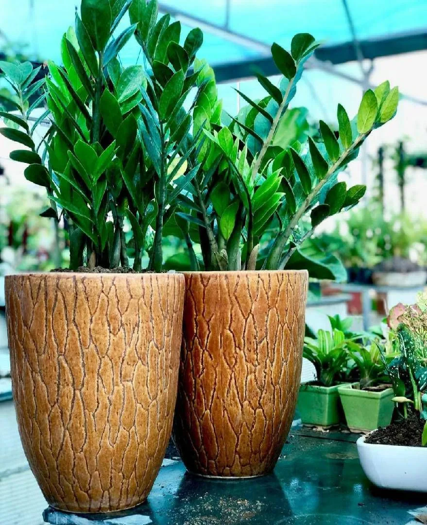 Classic Ceramic Planter — 5" Dia × 4" Height — Primary View