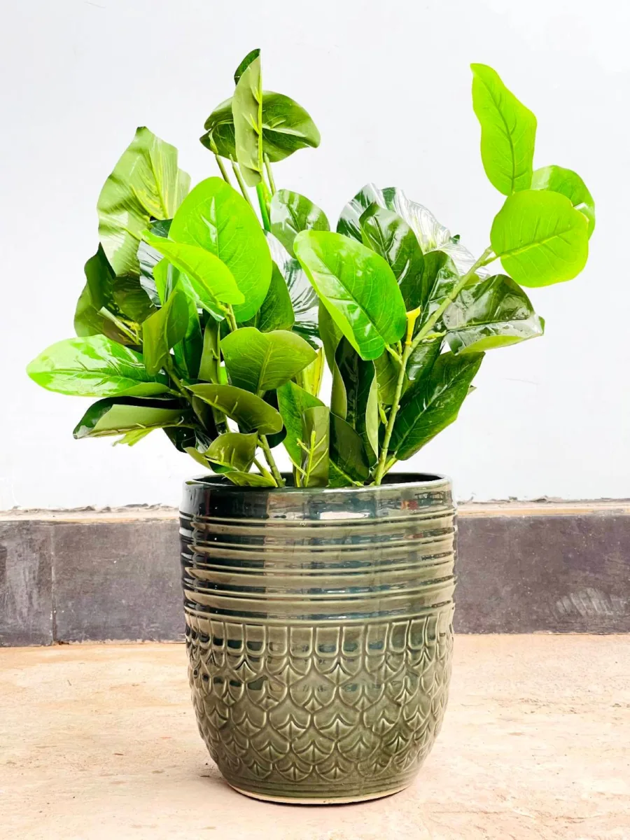Classic Ceramic Planter — 5" Dia × 5" Height — Primary View