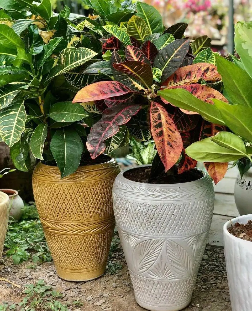 Classic Ceramic Planter — 6" Dia × 7" Height — Primary View