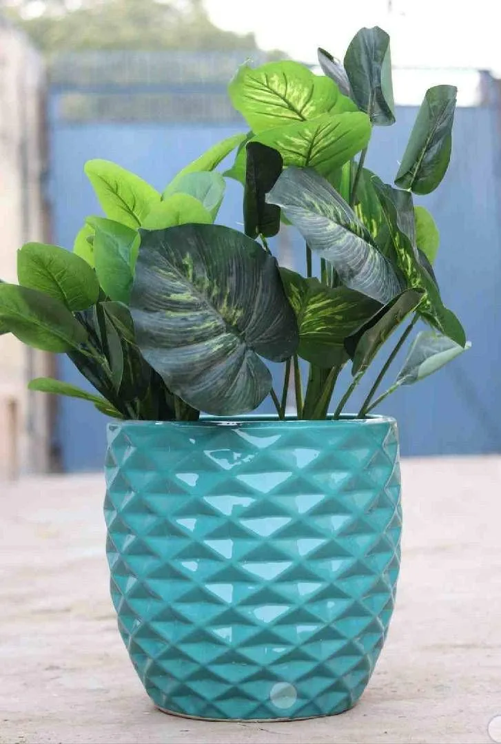 Classic Ceramic Planter — 6" Dia × 6" Height — Primary View