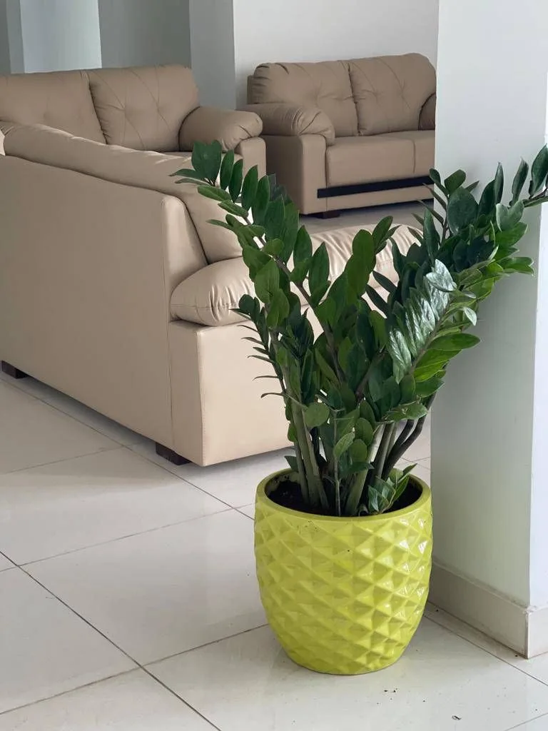 Classic Ceramic Planter — 5.5" Dia × 5.5" Height — Primary View