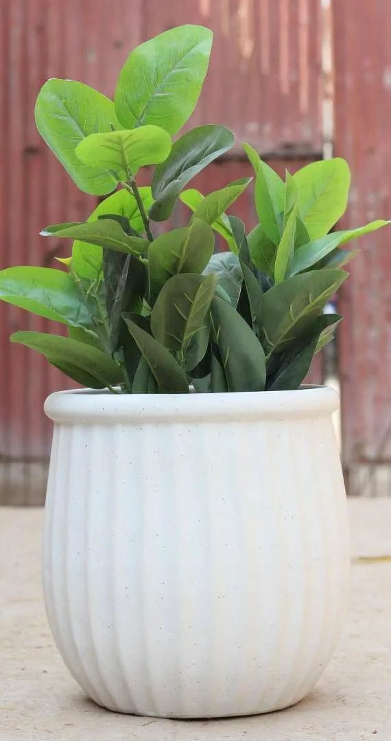 Classic Ceramic Planter — 5.5" Dia × 5.5" Height — Primary View