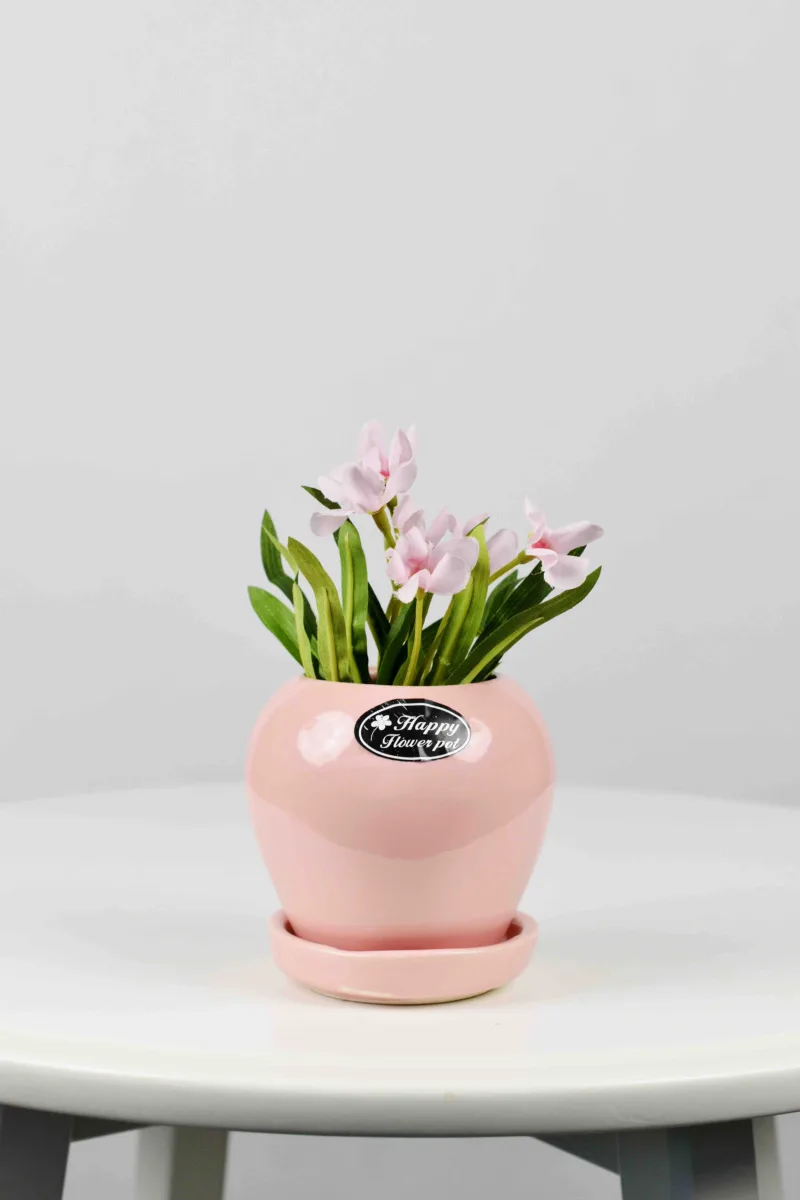 Classic Ceramic Planter — 6" Dia × 5" Height — Primary View