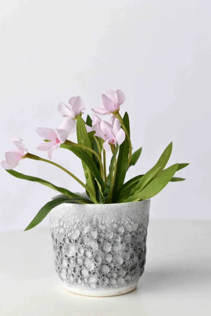 Classic Ceramic Planter — 5" Dia × 4.5" Height — Primary View