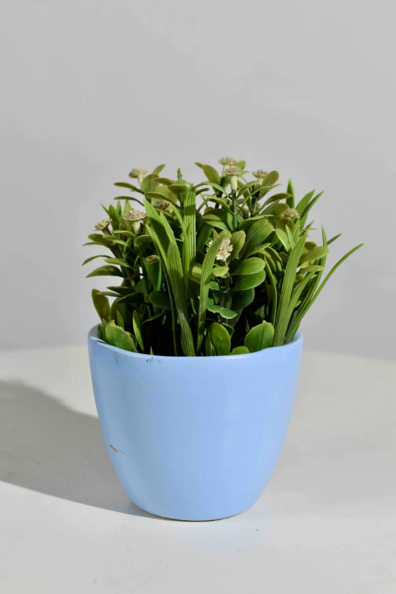 Classic Ceramic Planter — 6" Dia × 12" Height — Primary View