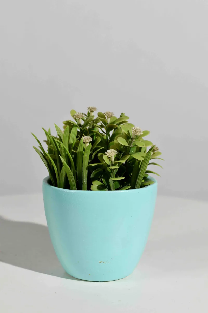 Classic Ceramic Planter — 3.5" Dia × 6" Height — Primary View