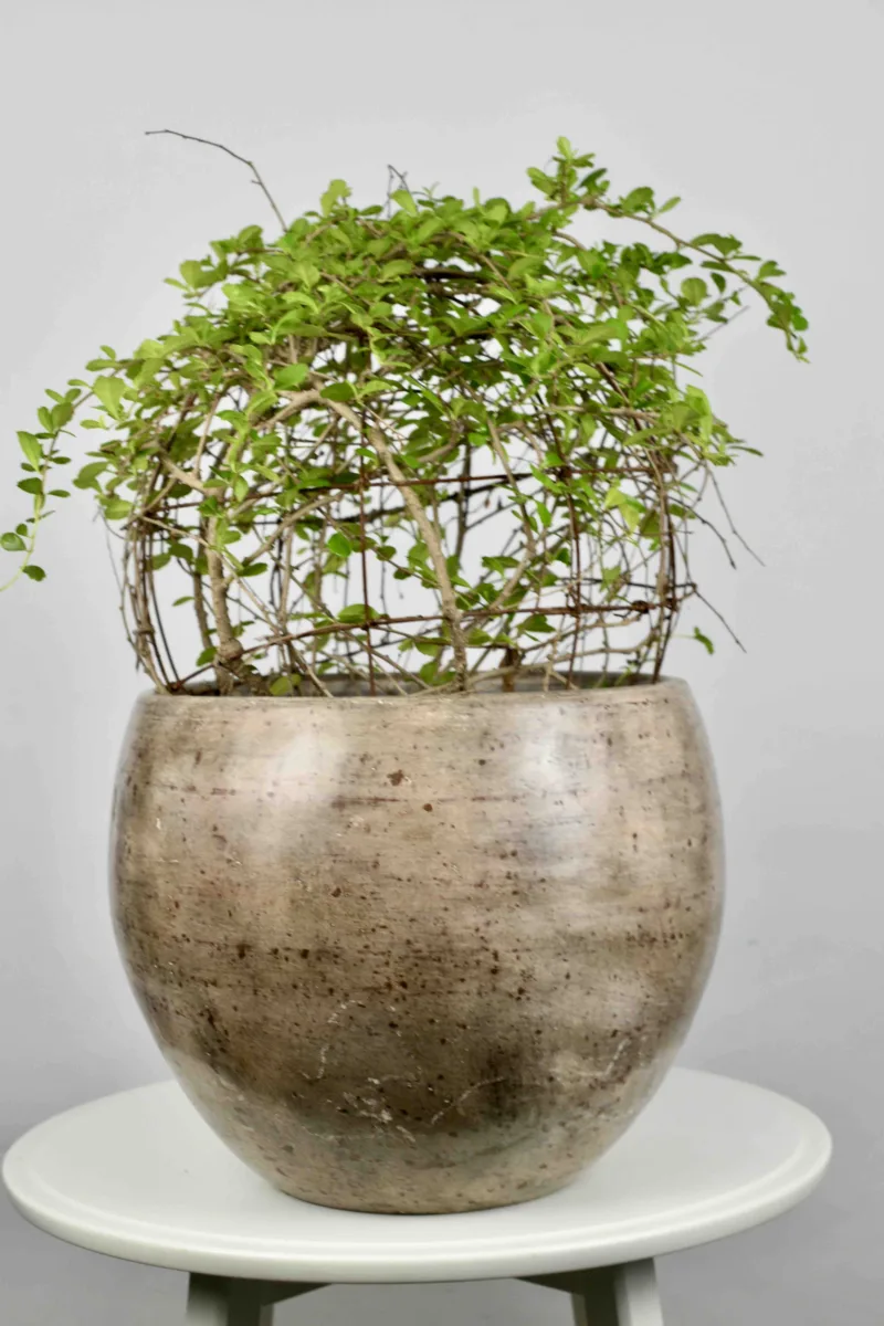 Classic Ceramic Planter — 6" Dia × 10" Height — Primary View