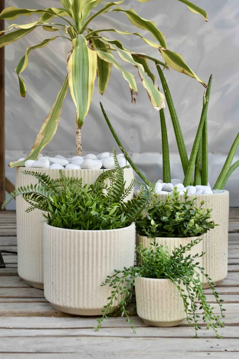 Classic Ceramic Planter — 8" Dia × 3" Height — Primary View