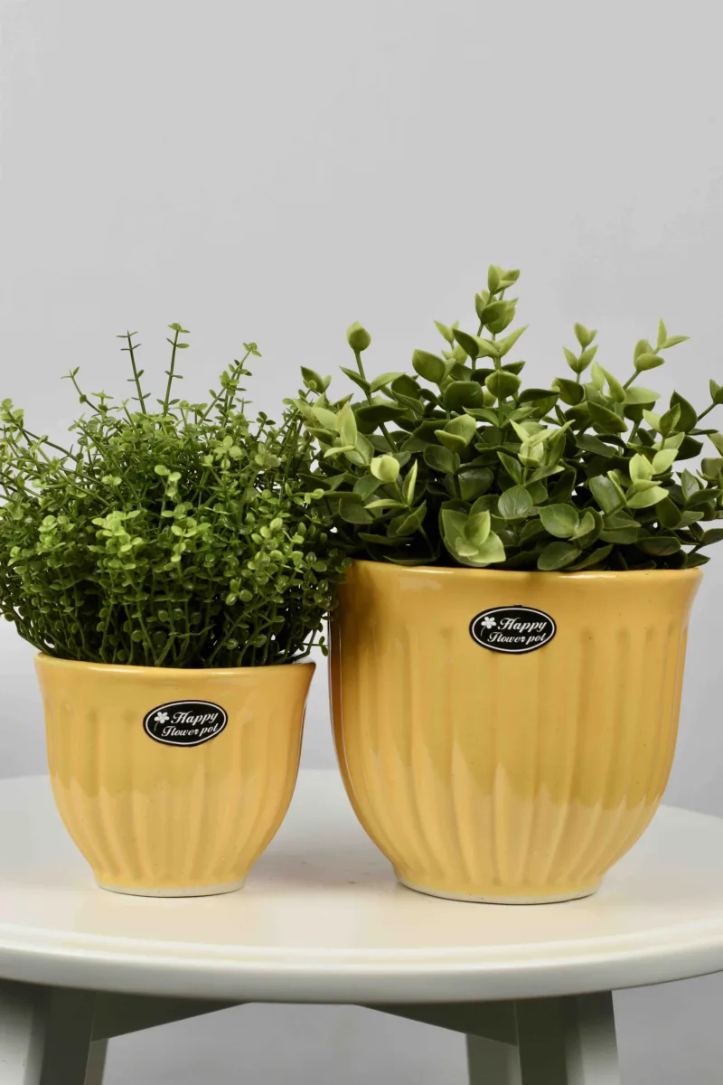 Classic Ceramic Planter Set of 3 (14" Dia × 4" Height) — Primary View