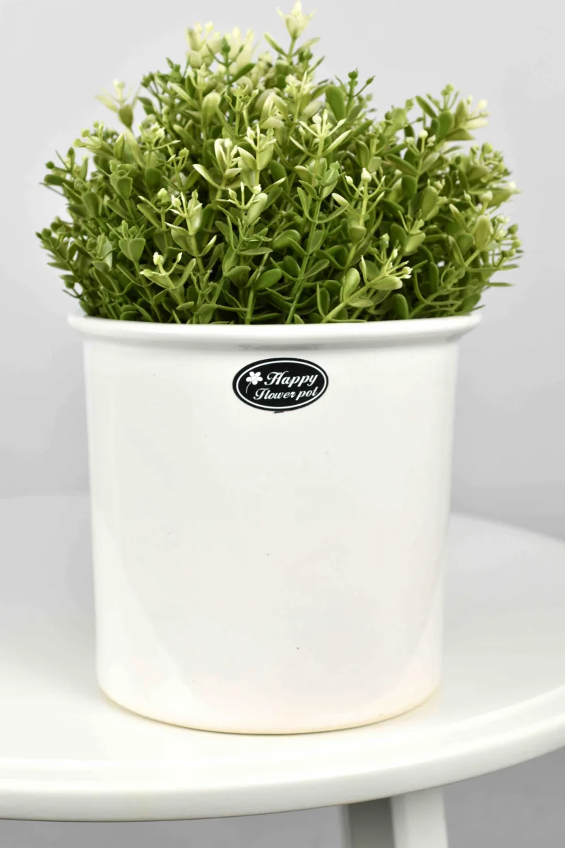 Classic Ceramic Planter — 8" Dia × 12" Height — Primary View