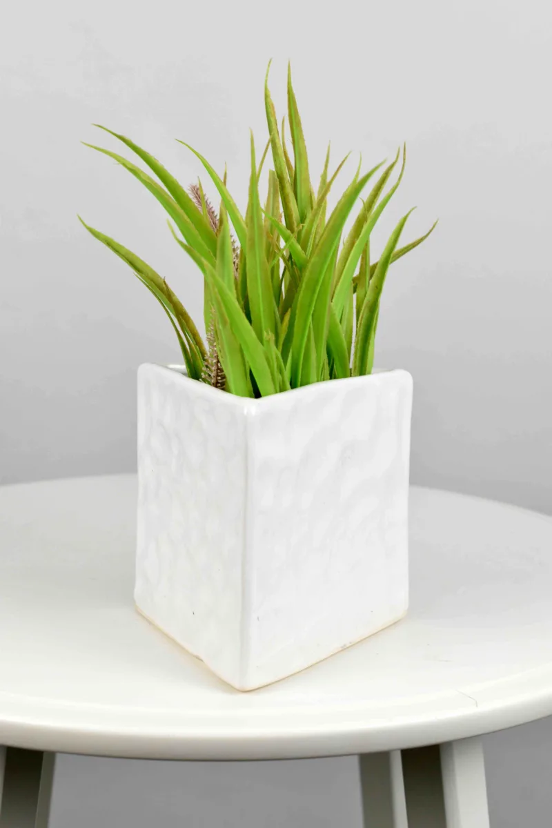 Classic Ceramic Planter — 8" Dia × 12" Height — Primary View