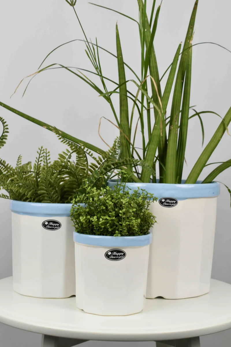 Classic Ceramic Planter — 3" Dia × 3" Height — Primary View
