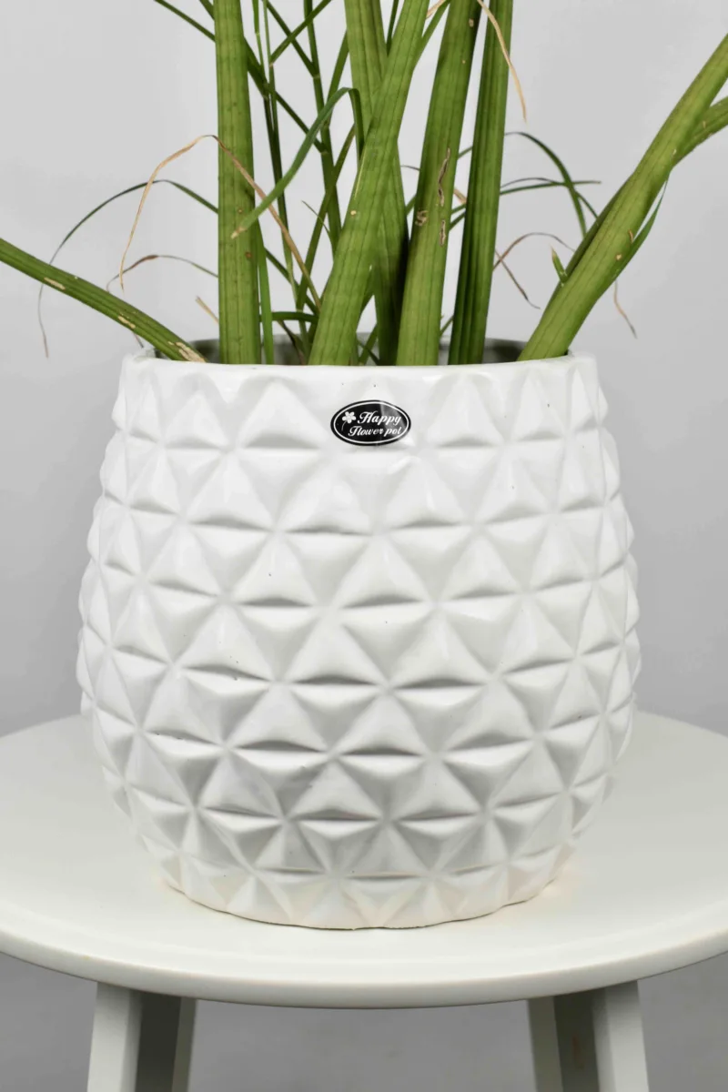 Classic Ceramic Planter — 4" Dia × 4" Height — Primary View