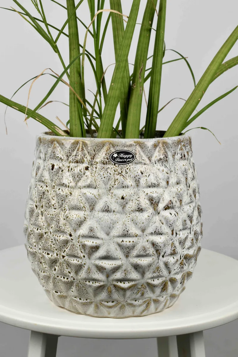 Classic Ceramic Planter — 5" Dia × 4" Height — Primary View