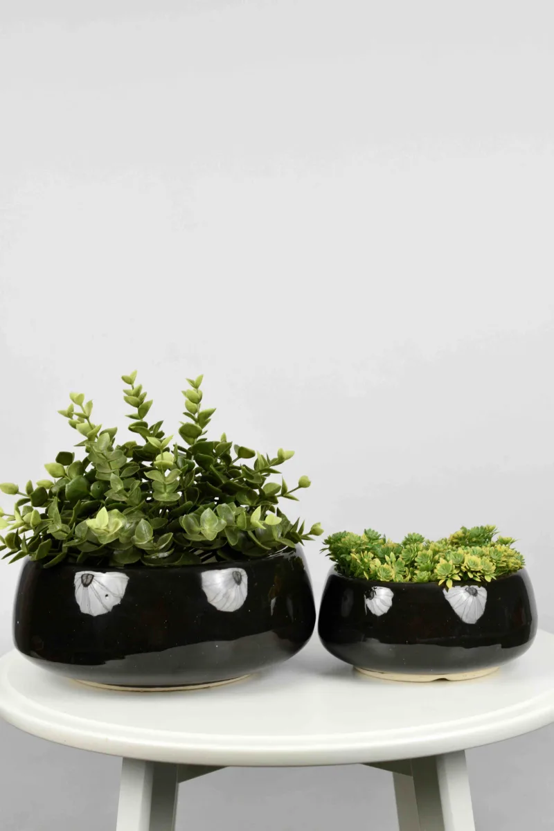 Classic Ceramic Planter — 5" Dia × 5" Height — Primary View