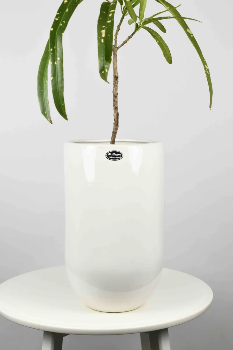 Classic Ceramic Planter — 4" Dia × 4" Height — Primary View