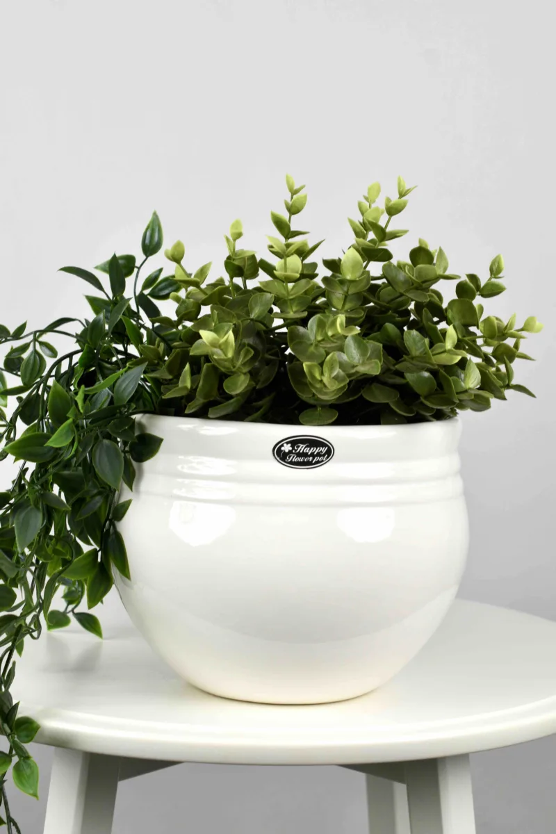 Classic Ceramic Planter — 13" Dia × 5" Height — Primary View