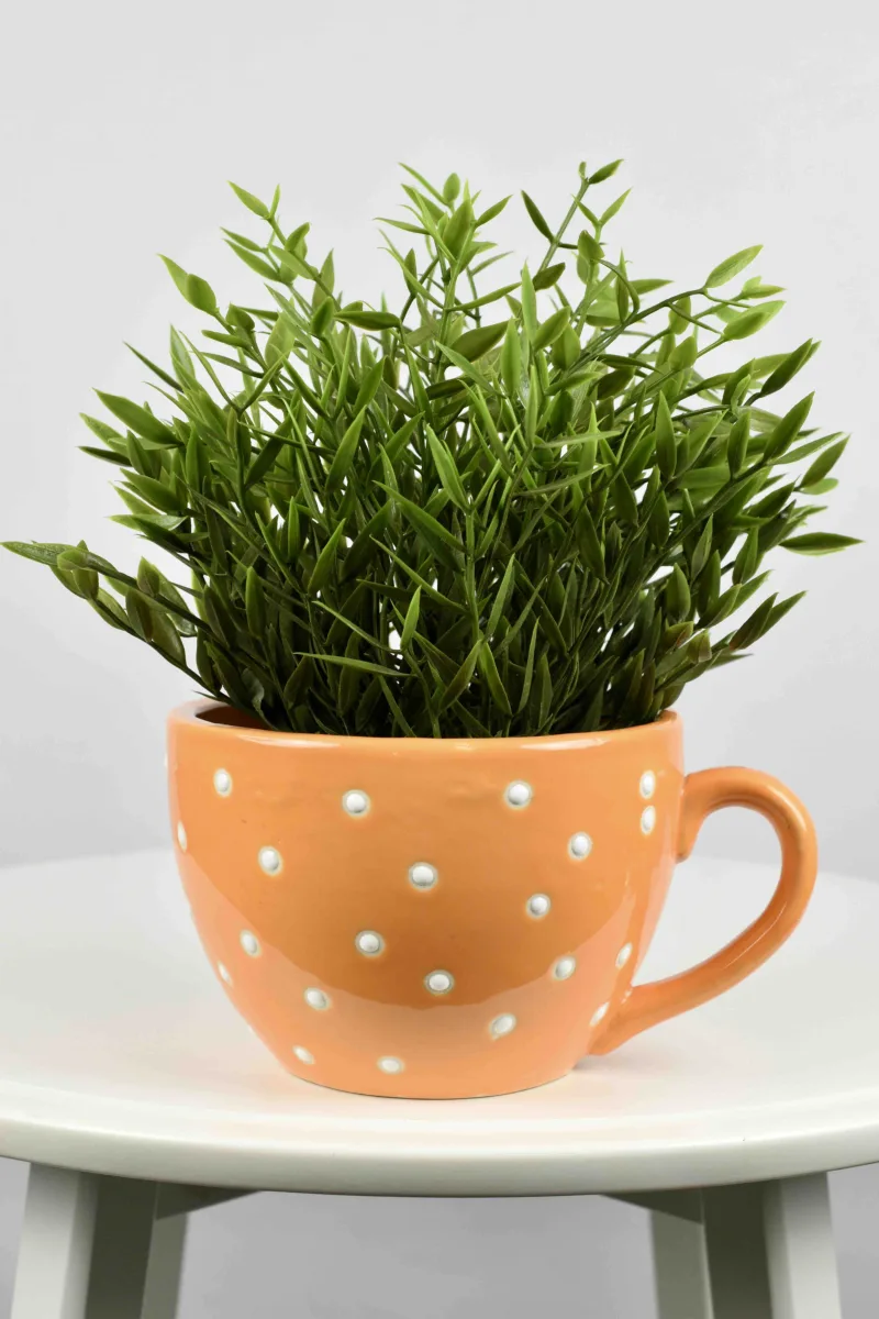 Classic Ceramic Planter — 5" Dia × 3" Height — Primary View