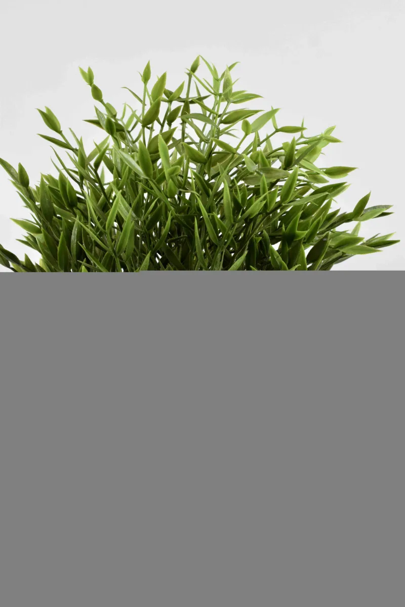Classic Ceramic Planter Set of 2 (2" Dia) — Primary View