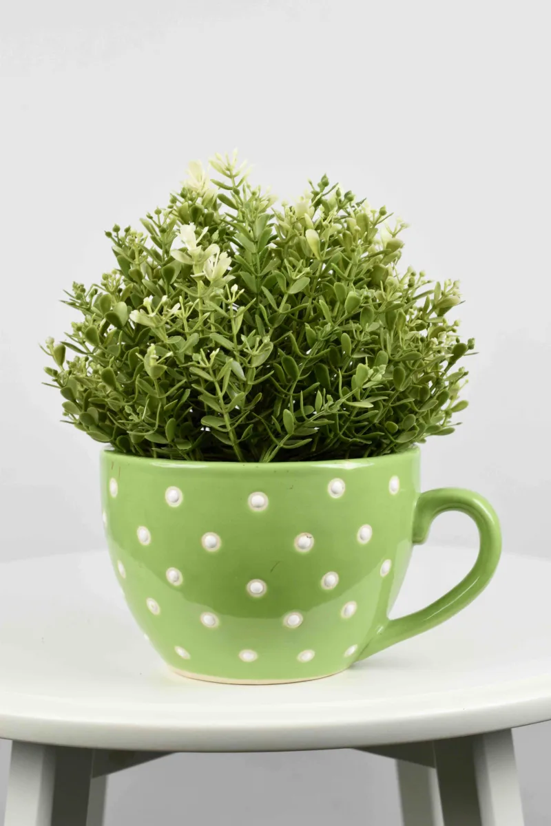 Classic Ceramic Planter — 9.5" Dia × 3.5" Height — Primary View
