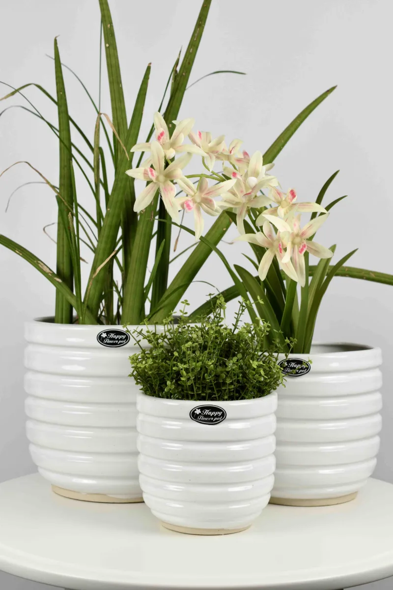 Classic Ceramic Planter Set of 3 (3" Dia) — Primary View