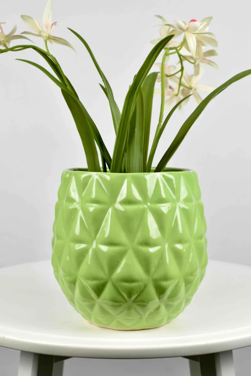 Classic Ceramic Planter Set of 3 (3" Dia) — Primary View