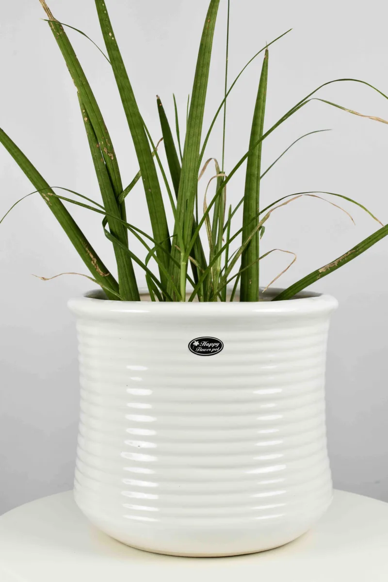 Classic Ceramic Planter — 4" Dia × 3.5" Height — Primary View