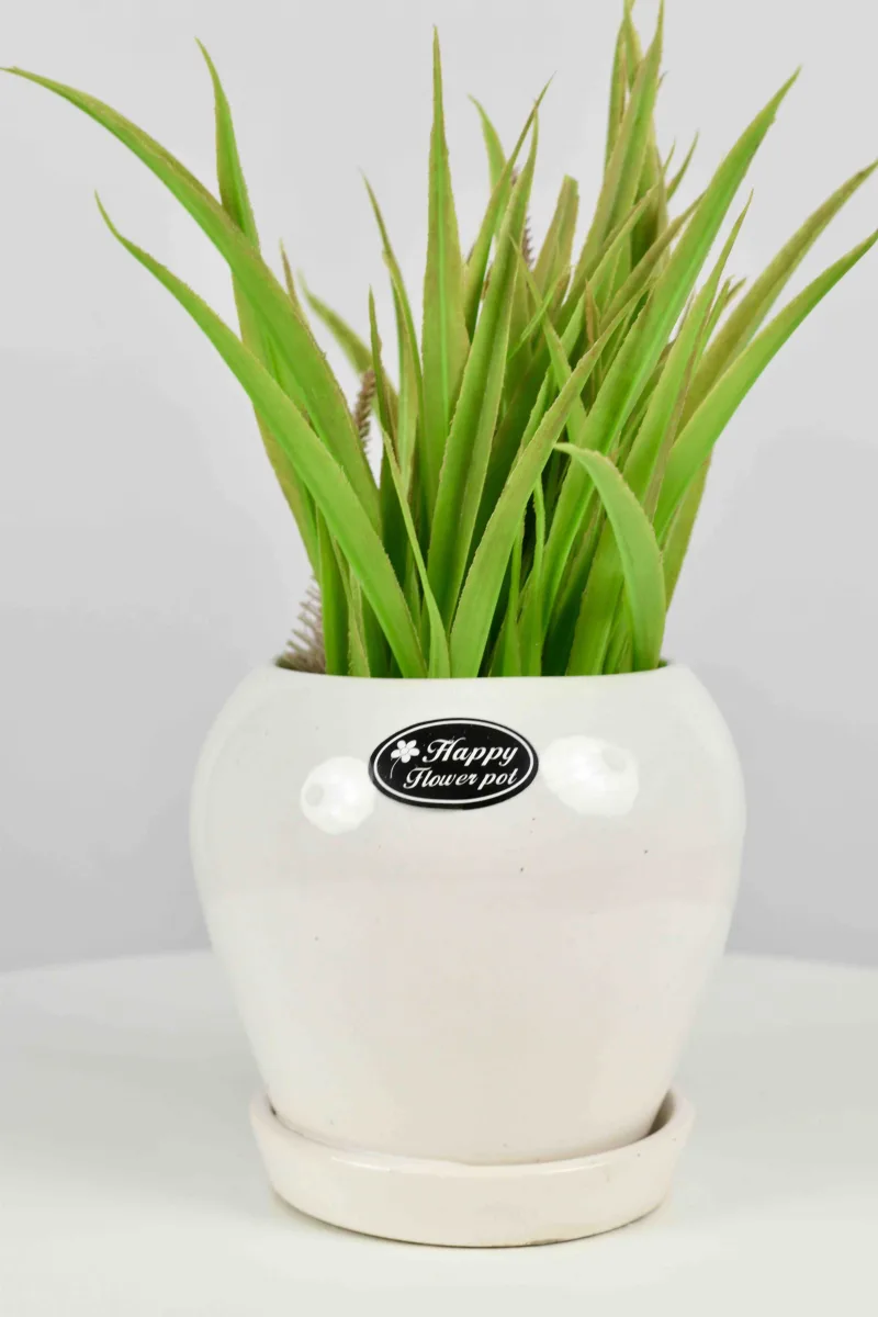 Classic Ceramic Planter — 3.5" Dia × 3.5" Height — Primary View