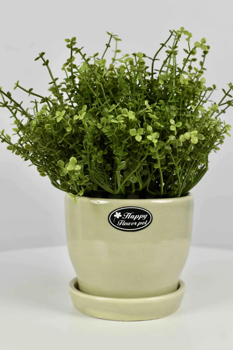 Classic Ceramic Planter — 4" Dia × 3.5" Height — Primary View