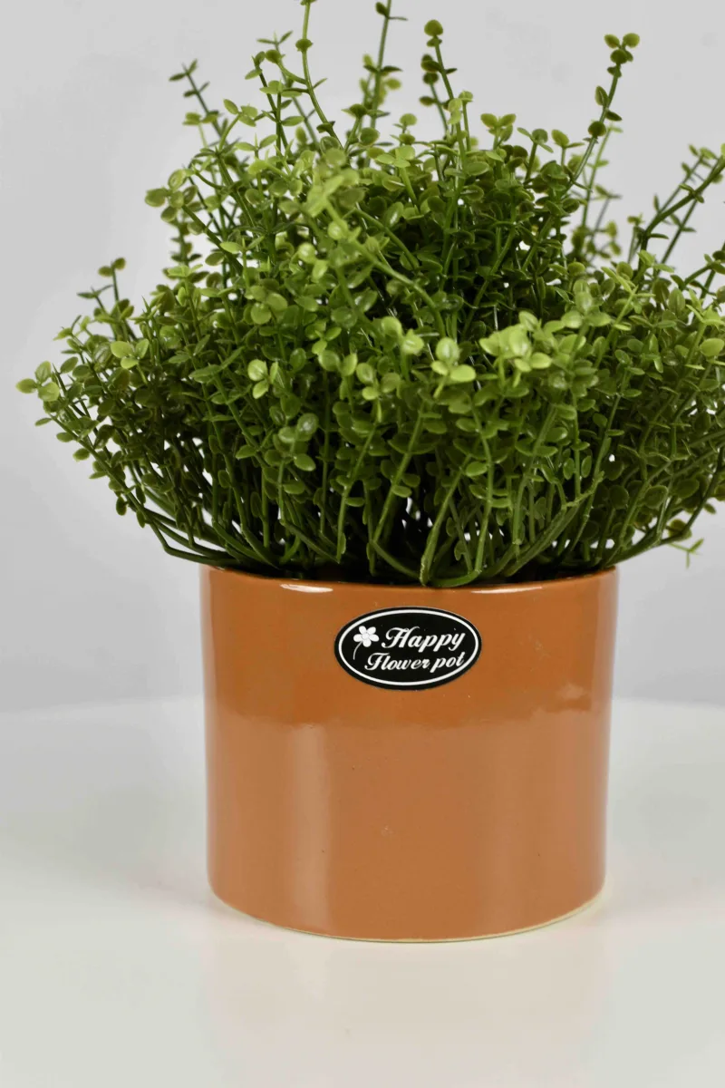 Classic Ceramic Planter — 10" Dia × 4" Height — Primary View