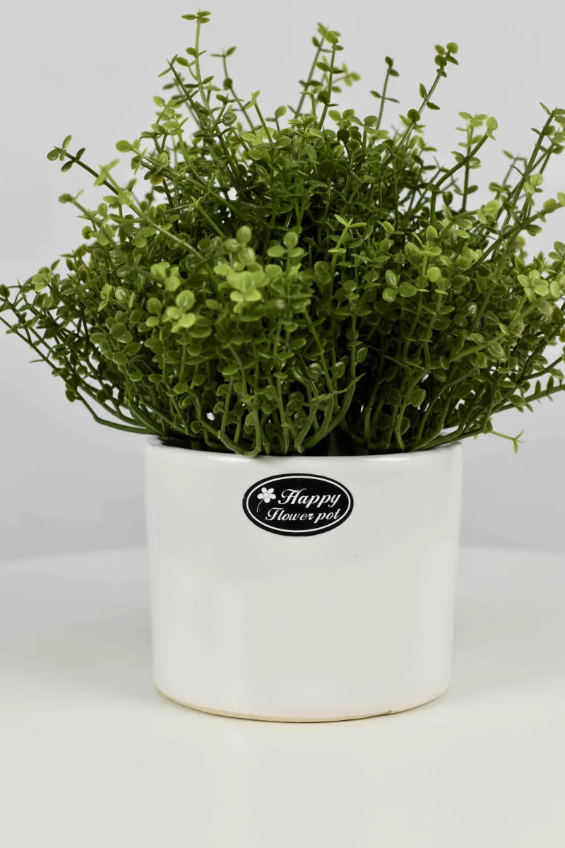 Classic Ceramic Planter — 6" Dia × 6" Height — Primary View