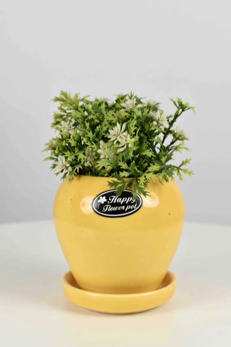 Classic Ceramic Planter — 7" Dia × 5.5" Height — Primary View
