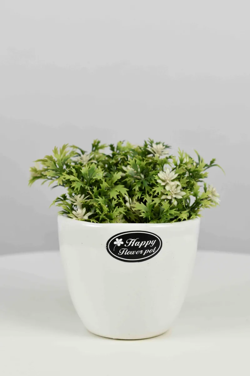 Classic Ceramic Planter — 6" Dia × 4.5" Height — Primary View
