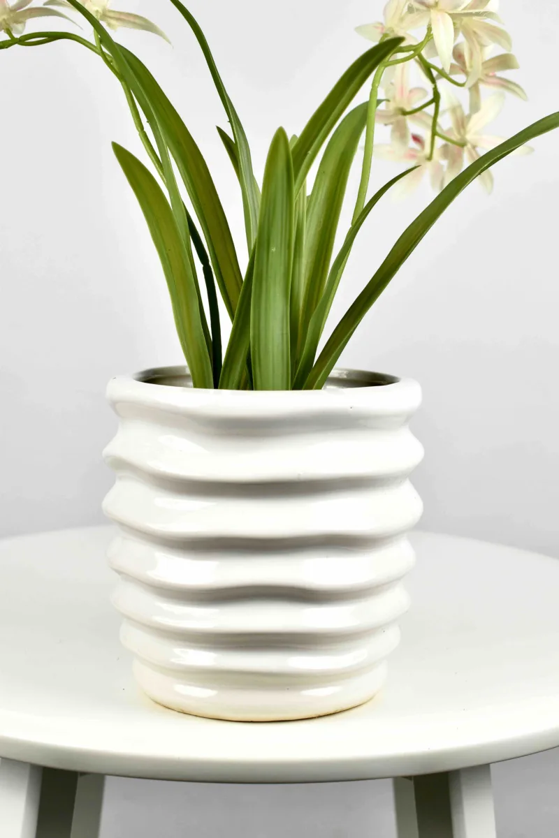 Classic Ceramic Planter — 6" Dia × 4.5" Height — Primary View
