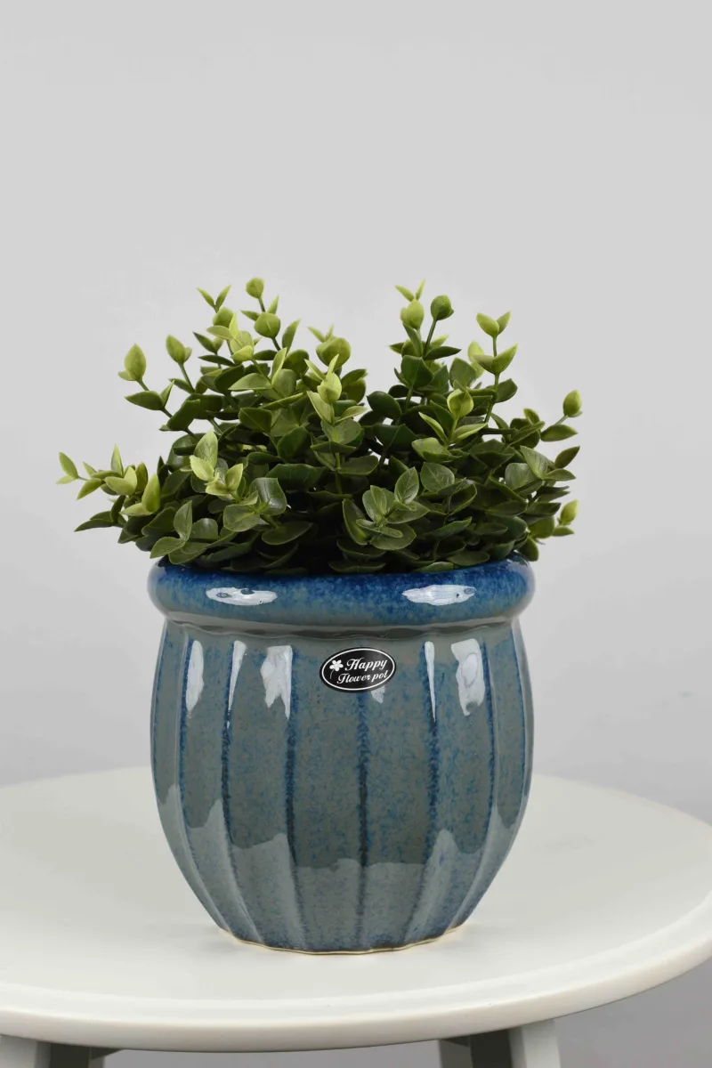 Classic Ceramic Planter — 16" Dia × 3.5" Height — Primary View