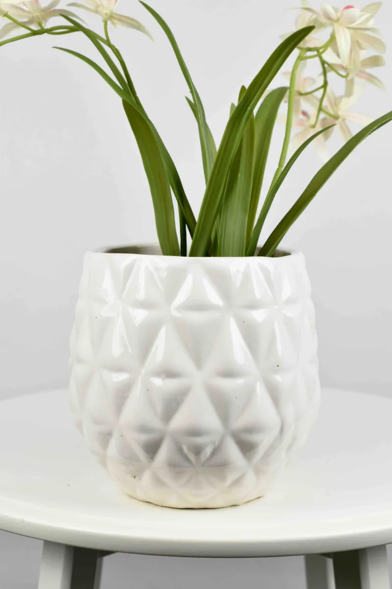 Classic Ceramic Planter Set of 3 (3" Dia) — Primary View