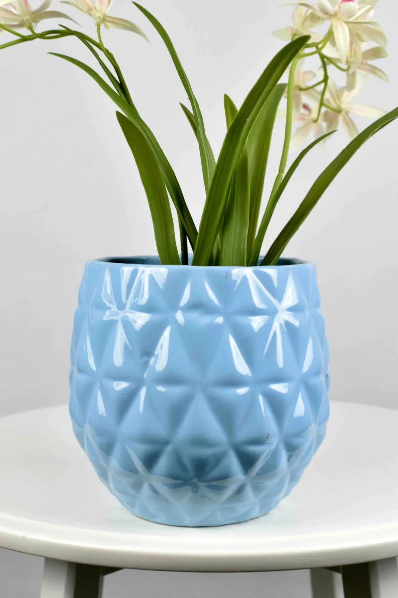 Classic Ceramic Planter — 5.5" Dia × 4" Height — Primary View