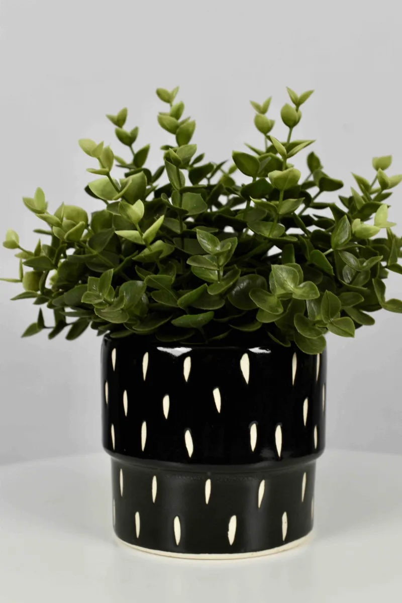 Classic Ceramic Planter — 5.5" Dia × 4" Height — Primary View