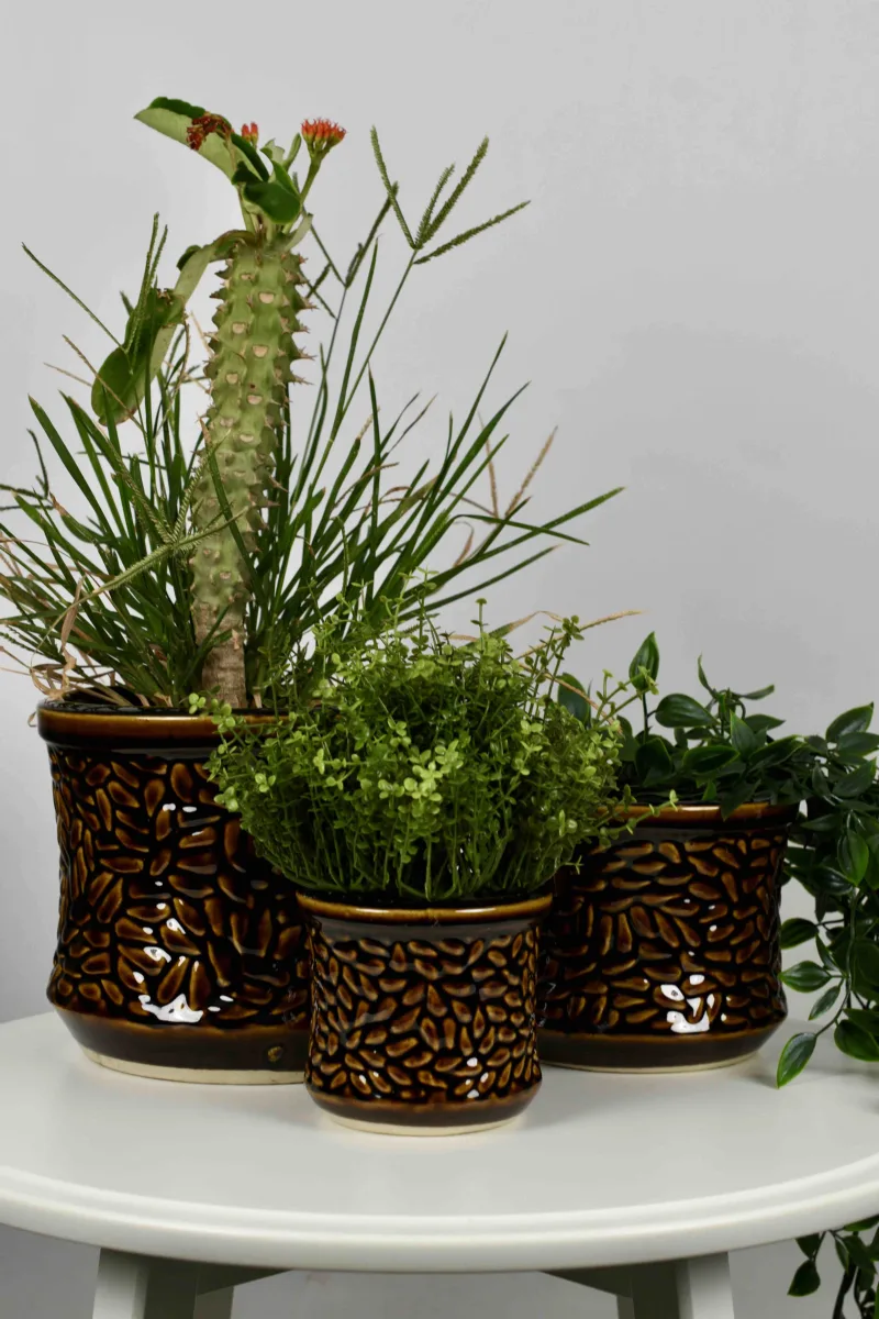 Classic Ceramic Planter — 8" Dia × 13" Height — Primary View