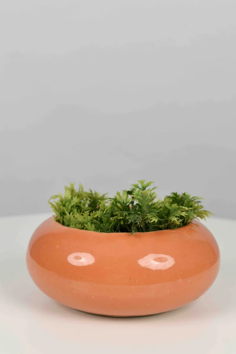 Classic Ceramic Planter — 5.5" Dia × 4" Height — Primary View