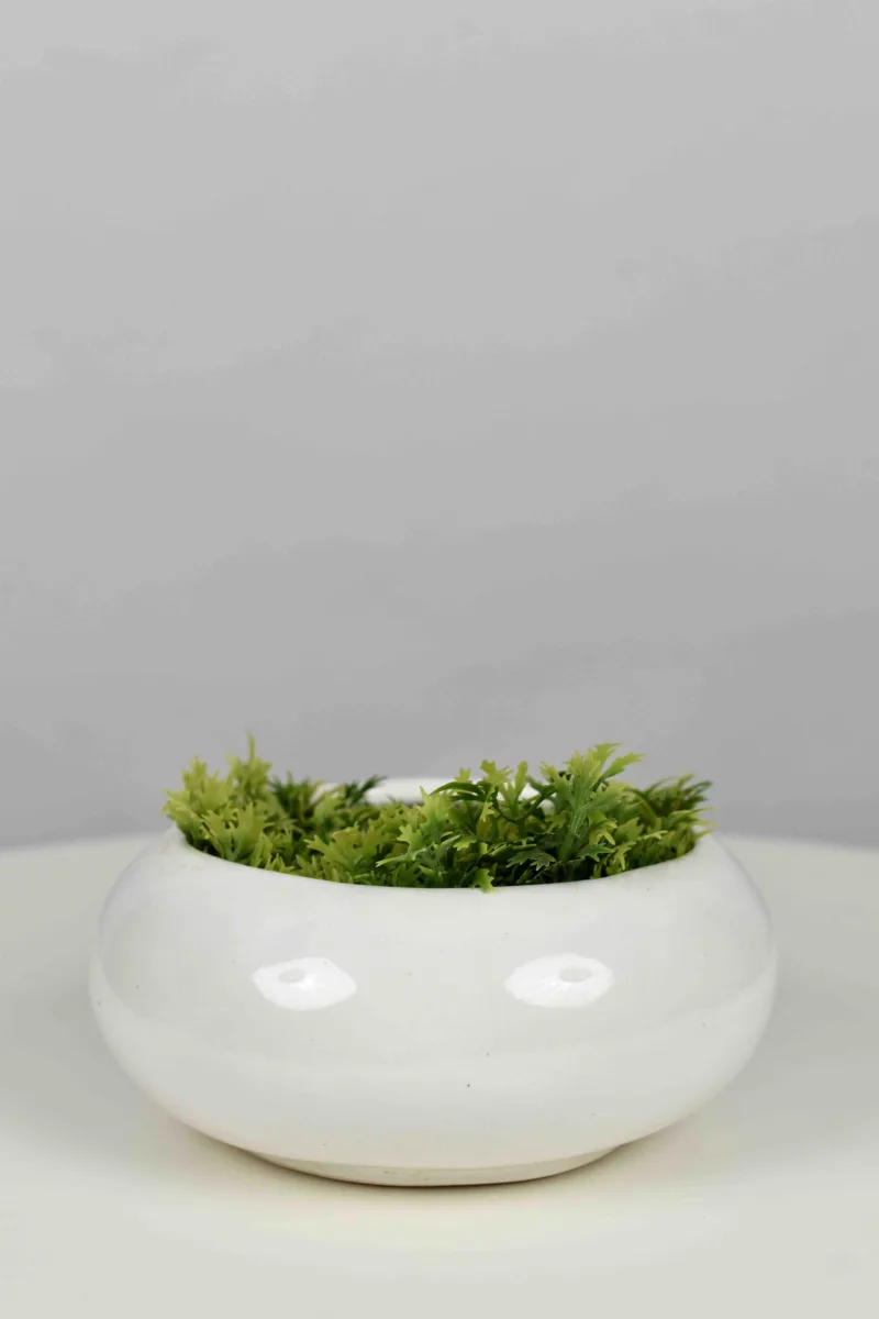 Classic Ceramic Planter — 4.5" Dia × 3.5" Height — Primary View